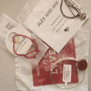Alex and Ani Silver Charm Bracelet